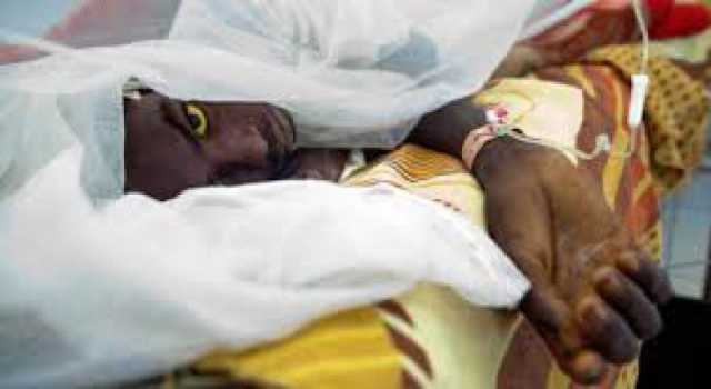 Cinco cidades têm situação de emergência reconhecida por causa da febre amarela