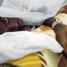 Com quase 800 casos, febre amarela pode voltar a assustar a população
