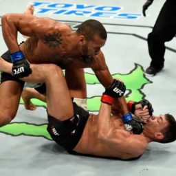 Thiago Marreta acerta chute rodado, nocauteia galês e se recupera no UFC