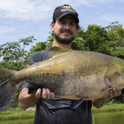 Cientistas sequenciam genoma de peixes brasileiros