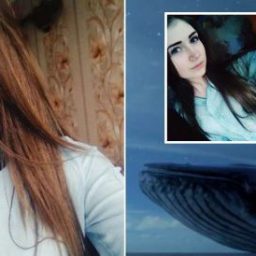 Alerta aos pais: desafio suicida ‘Baleia Azul’ chega ao Brasil