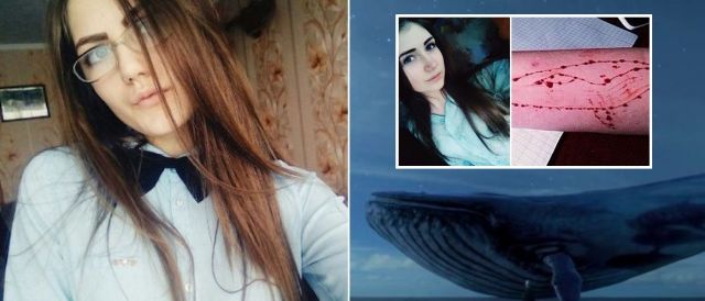 Alerta aos pais: desafio suicida 'Baleia Azul' chega ao Brasil