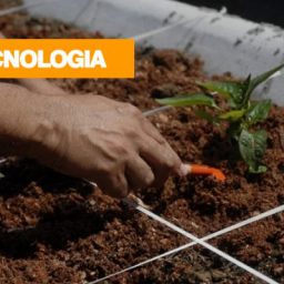 Mais de 67% das lavouras usam tecnologia na produção agrícola