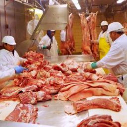 PF indicia mais de 60 pessoas no âmbito da Operação Carne Fraca