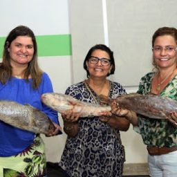 Prefeitura de Ibirataia distribui 15 mil quilos de peixes