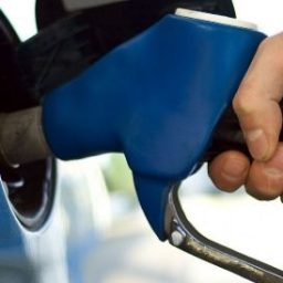 Dia sem imposto terá gasolina a R$ 1,86 e carro com 28% de desconto