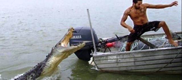 Pastor é devorado por crocodilos ao 'imitar' Jesus andando sobre as águas