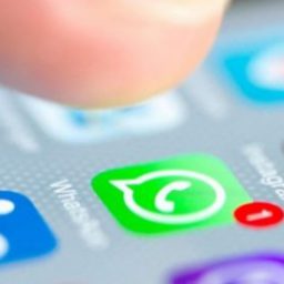 WhatsApp prepara contas verificadas para empresas; entenda