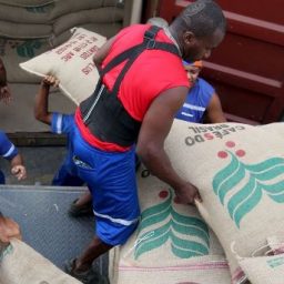 Licitações: Alimentos locais devem ter preferência nas compras públicas