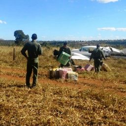 Avião com 500 quilos de cocaína é interceptado pela FAB em Goiás
