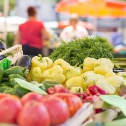 Preços de frutas e hortaliças ficam mais baratos nas Ceasas