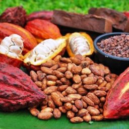 Chocolate: queda nos preços do cacau deve impulsionar vendas