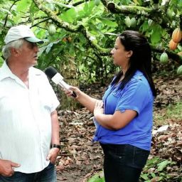 Produtores baianos temem chegada de praga que pode dizimar plantações inteiras de cacau