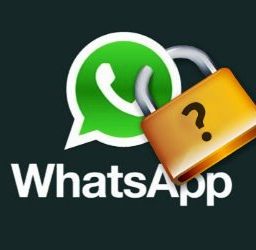 Empresa oferece mais de R$ 1,5 mi para quem achar falhas no WhatsApp