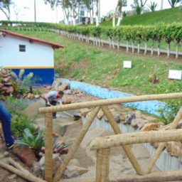 Prefeitura inicia implantação de paisagismo no entorno da nova Fábrica Escola de Chocolates em Gandu