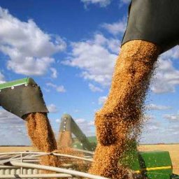 Produção baiana de grãos em 2022 deve ser 6,2% maior que recorde de 2021