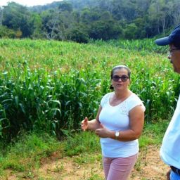 Prefeitura de Gandu fortalece a agricultura para juventude rural