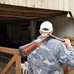 Comissão da Câmara aprova porte de arma de fogo para proprietários e trabalhadores rurais