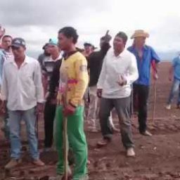 Grupo invade fazendas e destrói sistema de irrigação no oeste da Bahia