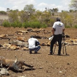 ONU alerta que 2017 será um dos três anos mais quentes da história