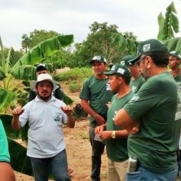 Ministério da Agricultura abre vagas para curso técnico gratuito