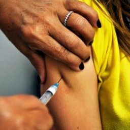Produção de vacina da febre amarela aumenta 212,3%