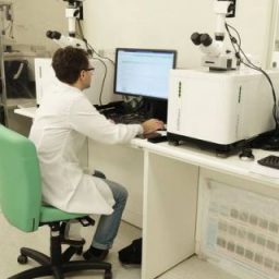 Laboratório Alemão inaugura unidade fabril para exames de febre amarela no Brasil