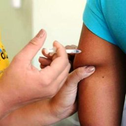 Novo boletim confirma 1.098 casos de febre amarela no País, com 340 mortes