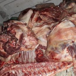 Polícia recupera carne roubada de R$80 mil em Camaçari
