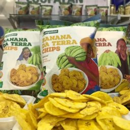 Banana chips da agricultura familiar é lançada na NaturalTech