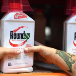 Agricultores dos EUA voltam a se queixar de herbicida da Monsanto
