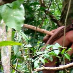 Funai divulga imagens de índio isolado na Amazônia