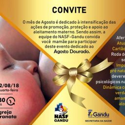 NASF Gandu promove o “Agosto Dourado”, campanha voltada ao aleitamento materno.