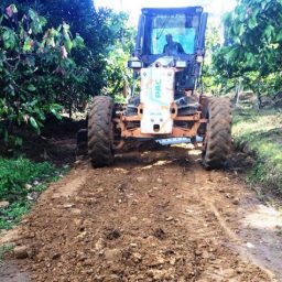 Prefeitura de Gandu realiza recuperação de estrada na região da Água Preta.