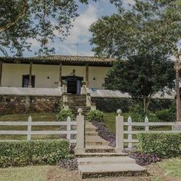 Turismo de chocolate: visite lindas fazendas de cacau em Ilhéus