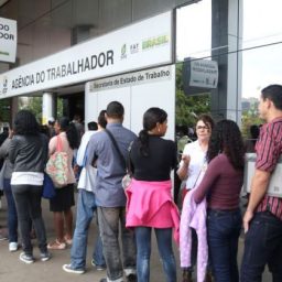 Brasil tem 11,5 milhões de pessoas desocupadas, aponta IBGE