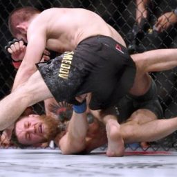 Khabib provoca briga generalizada e ofusca brilho do UFC 229