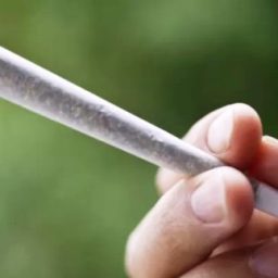 Para juízes, Brasil se tornará mais violento se liberar a maconha no País