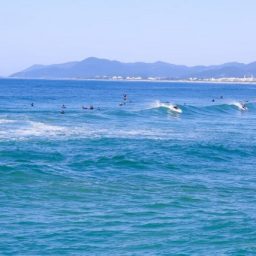 Praias para surfar e viajar pelo Brasil