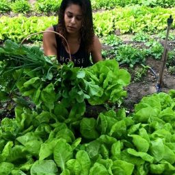 Mulheres se destacam como protagonistas da agricultura familiar na Bahia
