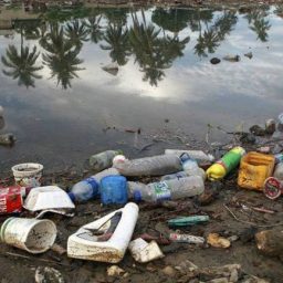 MP aciona dez municípios do sul da Bahia por não possuírem plano municipal de saneamento básico