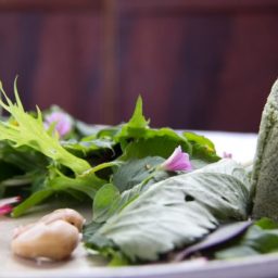 Alimentos orgânicos e produtos da agricultura familiar conquistam cardápios de restaurantes