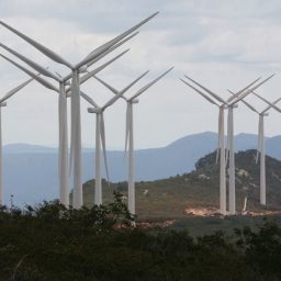 Grupo chinês confirma investimento de R$ 1 bi em energia renovável na Bahia