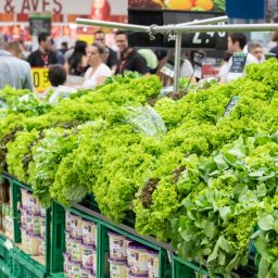 Preço de legumes está em queda em Salvador
