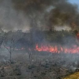 Governo quer R$ 1 bilhão de fundo da Petrobras para combater queimadas