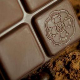 Família resgata fazenda de cacau e ganha reconhecimento com chocolate premium brasileiro