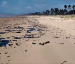 Óleo nas praias: MPF recomenda que municípios do baixo-sul da Bahia implementem ações emergenciais para remoção adequada do material poluente