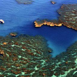 Após manchas de óleo, Parque Nacional de Abrolhos é reaberto para visitação