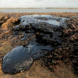 Quatro mil toneladas de óleo já foram retiradas de praias nordestinas