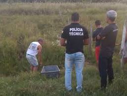 Agricultor morre após cair do craveiro na zona rural de Valença.
